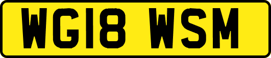 WG18WSM