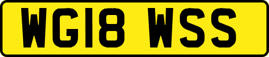 WG18WSS