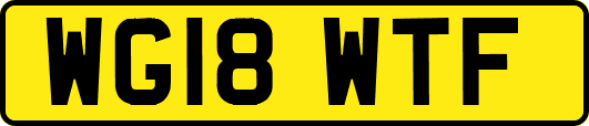 WG18WTF