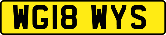 WG18WYS