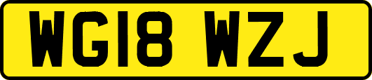 WG18WZJ