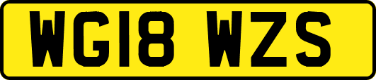 WG18WZS