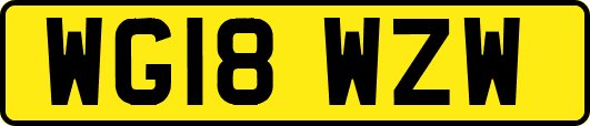 WG18WZW