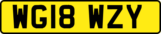 WG18WZY