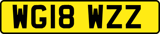 WG18WZZ