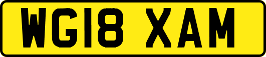 WG18XAM