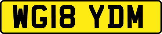 WG18YDM