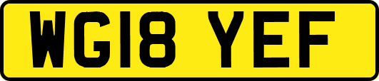 WG18YEF