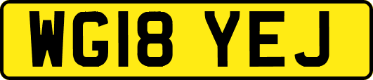 WG18YEJ