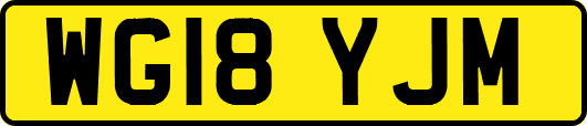 WG18YJM