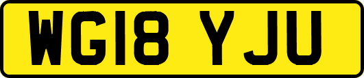 WG18YJU