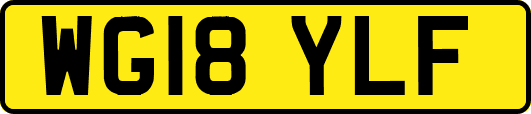 WG18YLF