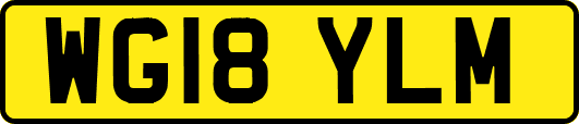 WG18YLM