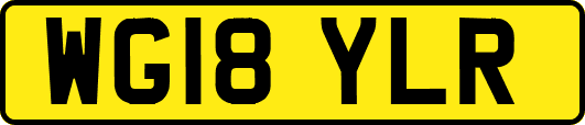 WG18YLR