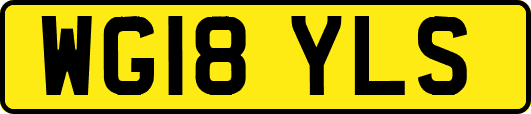 WG18YLS