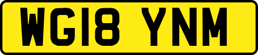 WG18YNM