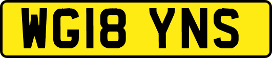 WG18YNS