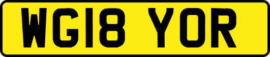 WG18YOR