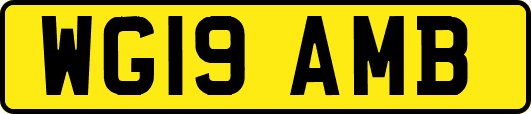 WG19AMB