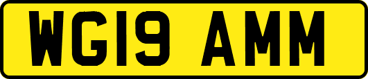 WG19AMM