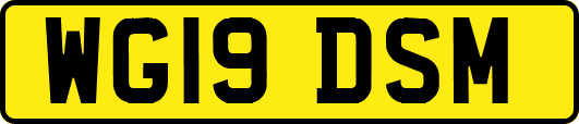 WG19DSM