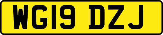 WG19DZJ