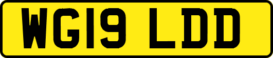 WG19LDD