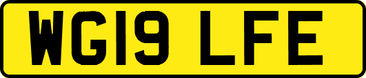 WG19LFE