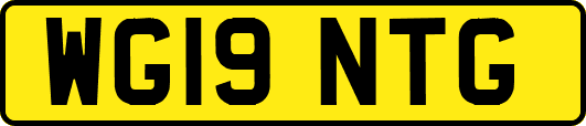 WG19NTG