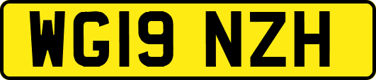 WG19NZH