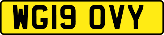 WG19OVY