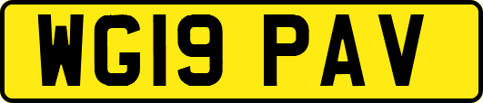 WG19PAV