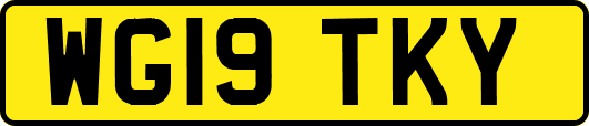 WG19TKY