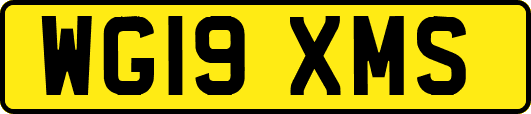WG19XMS