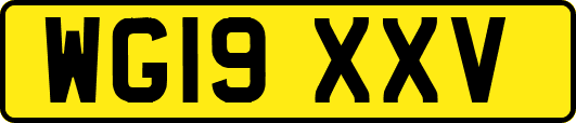WG19XXV