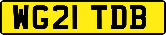 WG21TDB