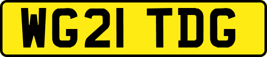 WG21TDG