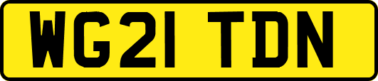 WG21TDN