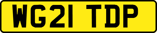 WG21TDP