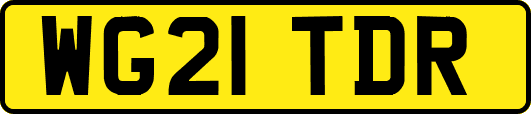 WG21TDR