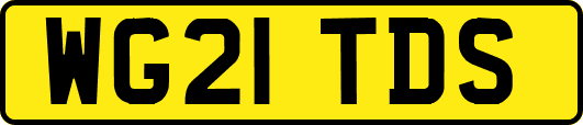 WG21TDS