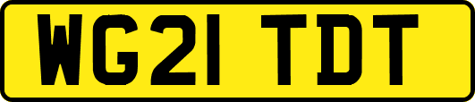 WG21TDT