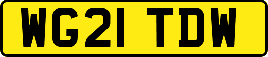 WG21TDW