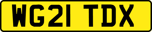 WG21TDX