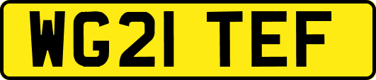 WG21TEF