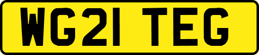 WG21TEG