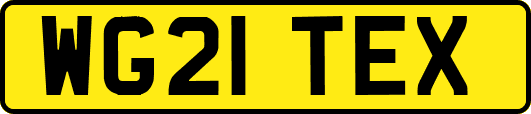WG21TEX