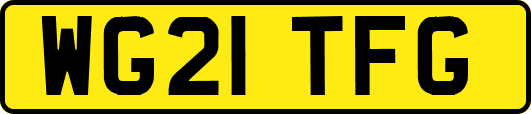 WG21TFG