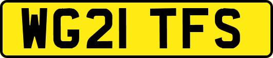 WG21TFS