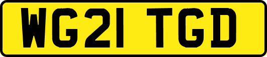 WG21TGD